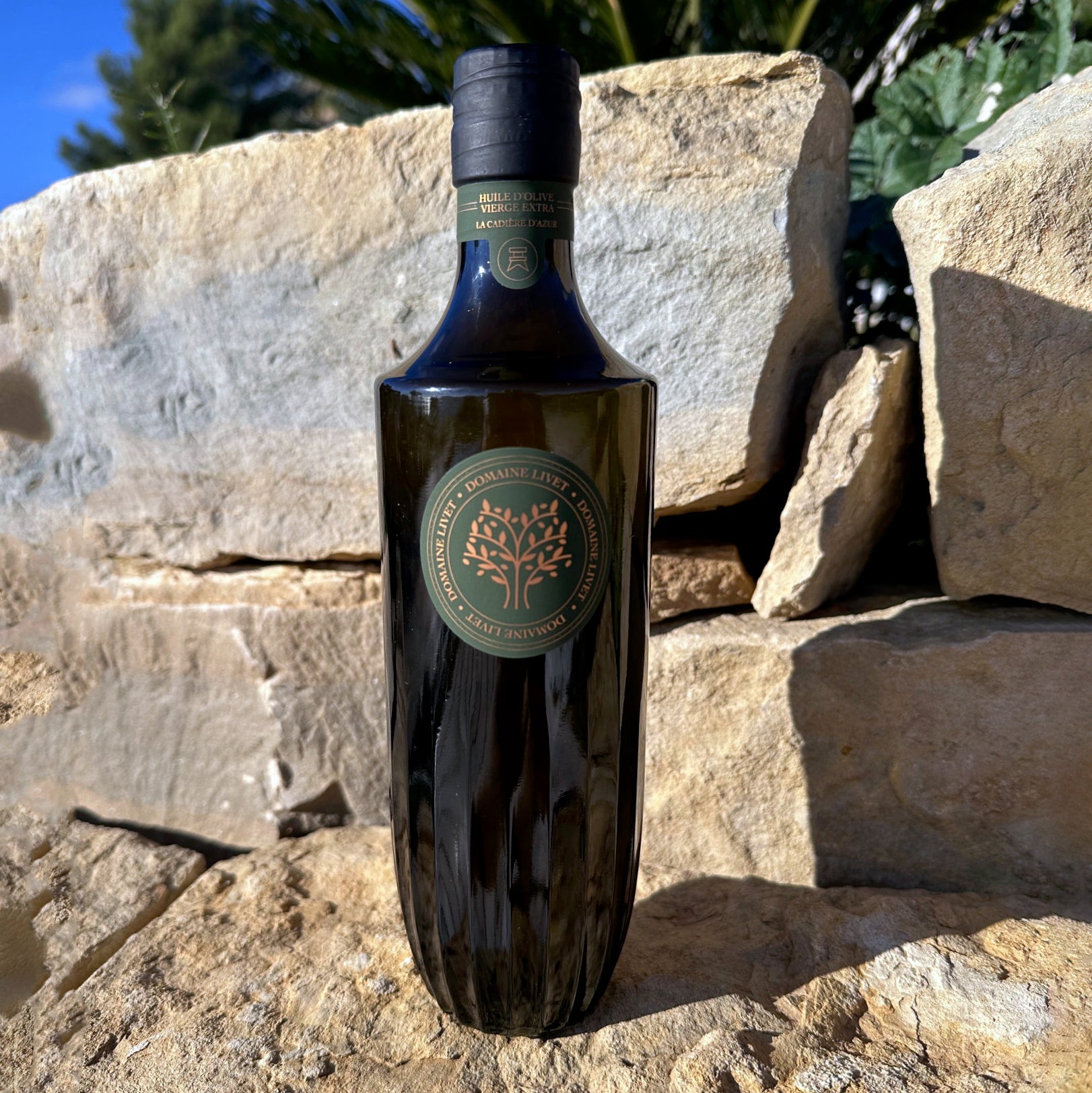 Huile d'olive fruité vert, Monovariétale Picholine 500 ml