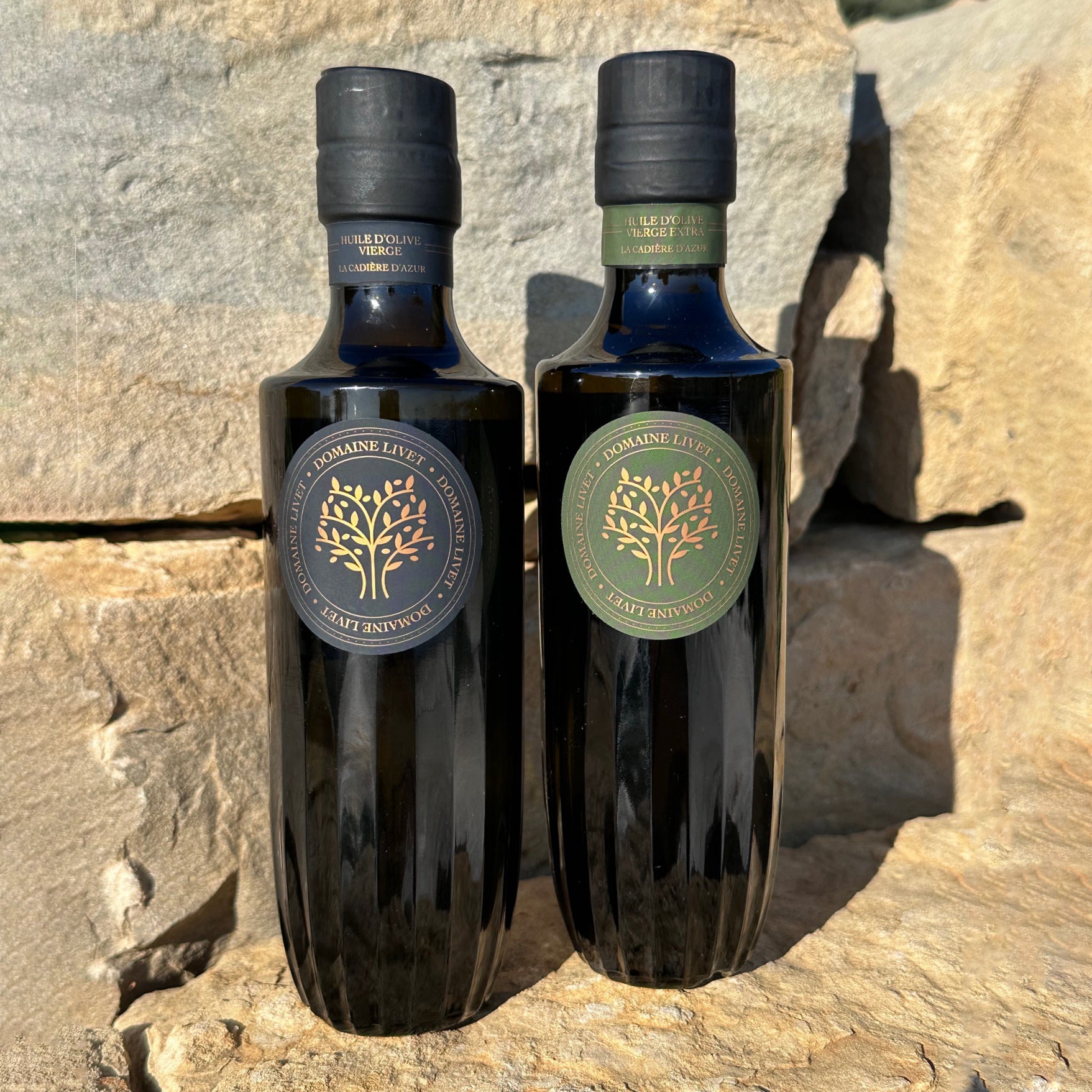 Huile d'olive fruité vert, Monovariétale Picholine 250 ml