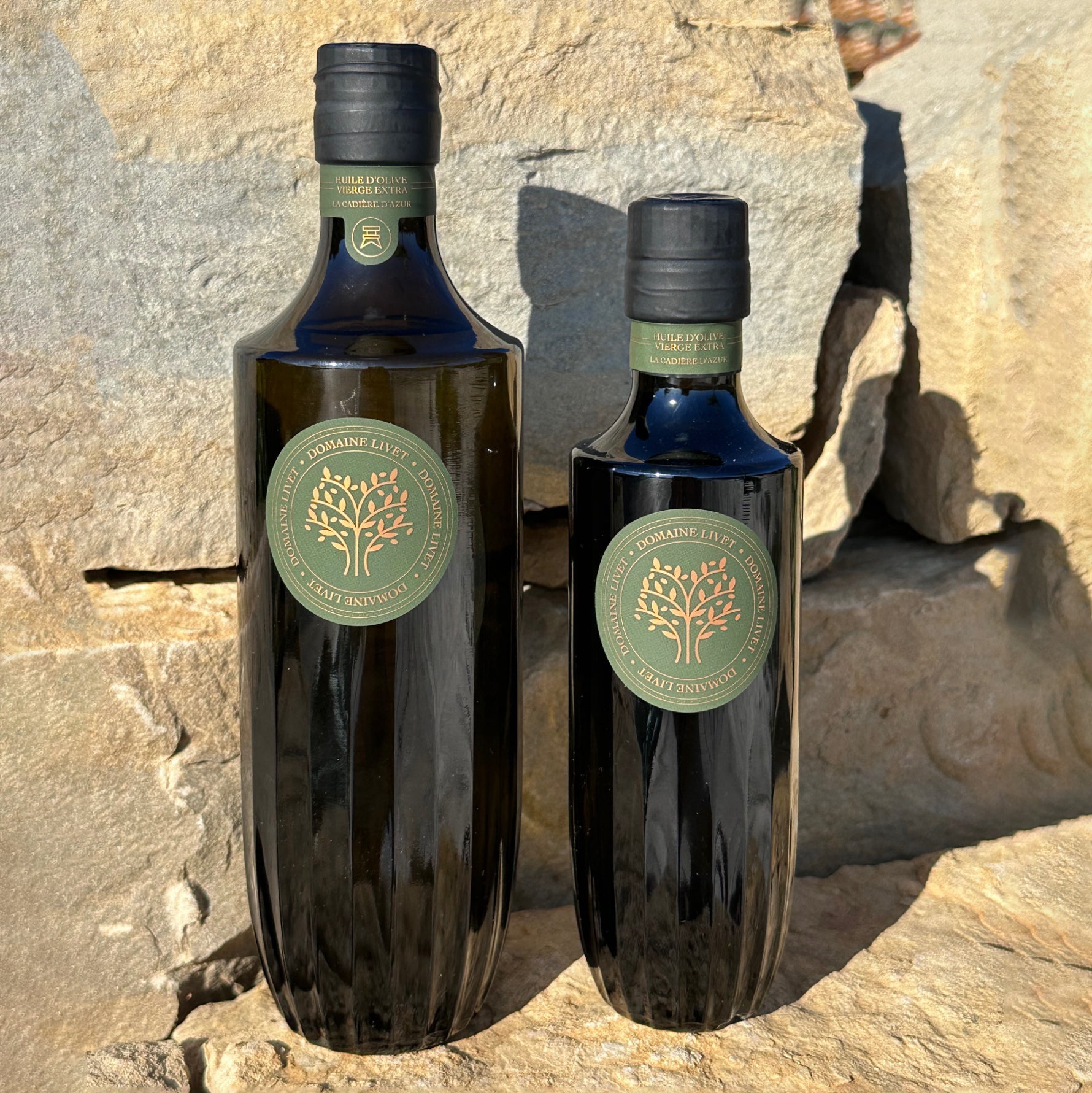 Huile d'olive fruité vert, Monovariétale Picholine 250 ml